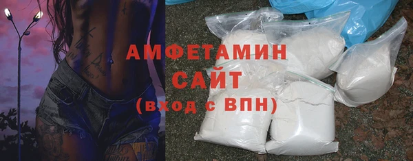 дживик Няндома