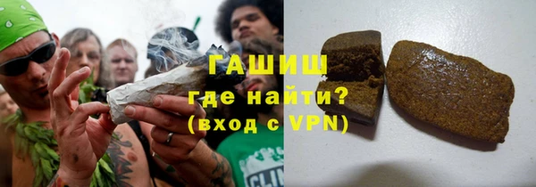 дживик Няндома
