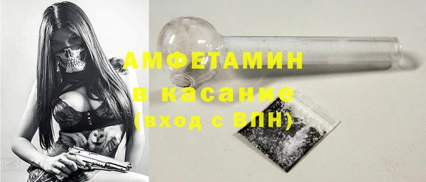 дживик Няндома