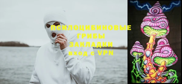 дживик Няндома