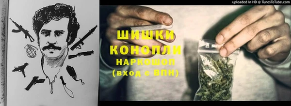 дживик Няндома
