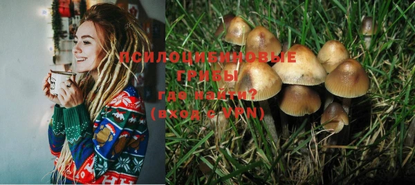 дживик Няндома