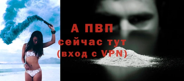 дживик Няндома