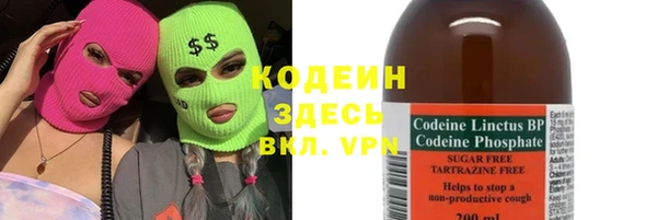 дживик Няндома