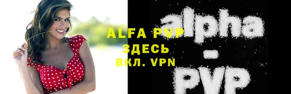дживик Няндома