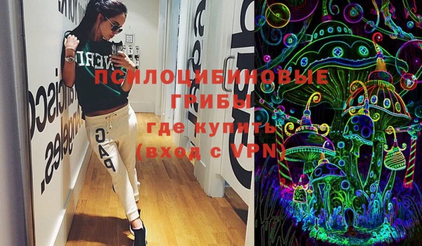 дживик Няндома