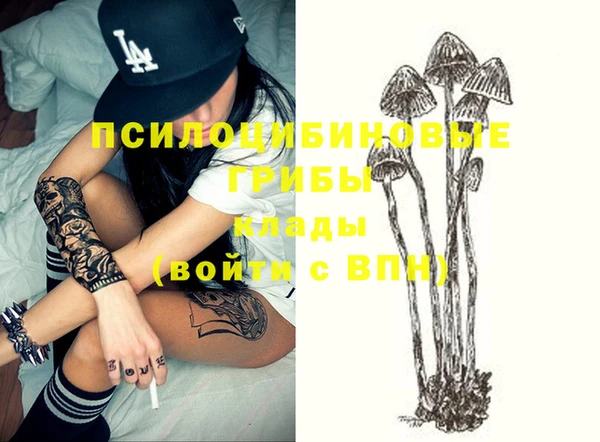 ECSTASY Нязепетровск