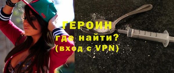 дживик Няндома