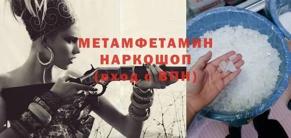 дживик Няндома